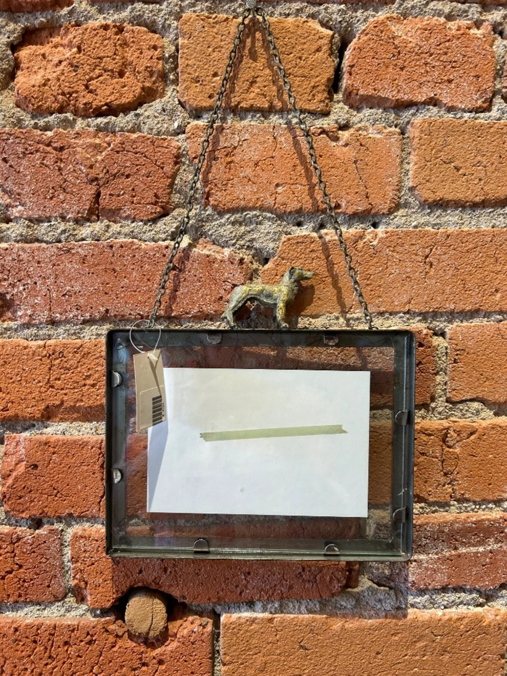 Glass and metal dog frame
